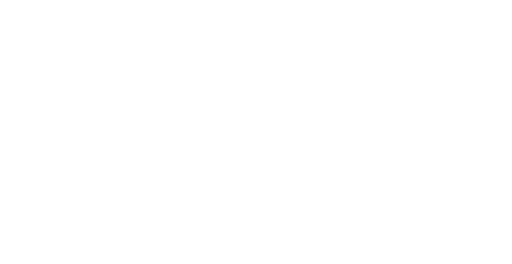 MENTOR® Brand Asset Consulting
